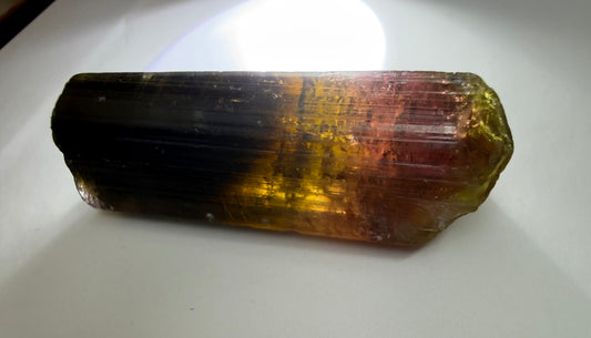 Liddicoatite Tourmaline Crystal | Brown to Orange, Yellow, Pink & Red | Malysha Mine, Tajikistan