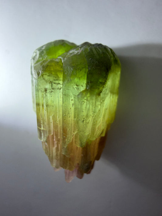 Sceptered Tourmaline Crystal | Green & Pink | Barra do Salinas, Minas Gerais, Brazil