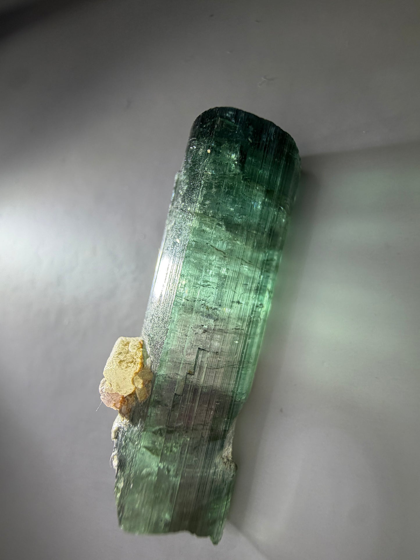 Blue-Cap Watermelon Tourmaline on Quartz | Teal, Pink & Blue | Aricanga Mine, Minas Gerais, Brazil