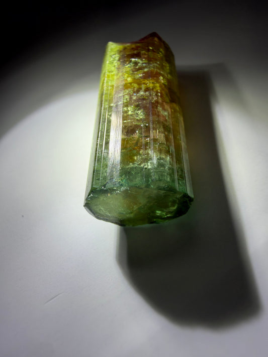 Rainbow Tourmaline Crystal | Yellow, Orange, Red & Blue-Green | Open C-Axis | Agua Branca, Minas Gerais, Brazil