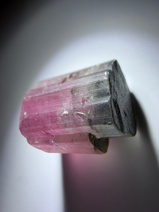 Tricolor Tourmaline Crystal | Red, White & Blue with Smoky Opaque Termination | Paprok Mine, Nuristan, Afghanistan