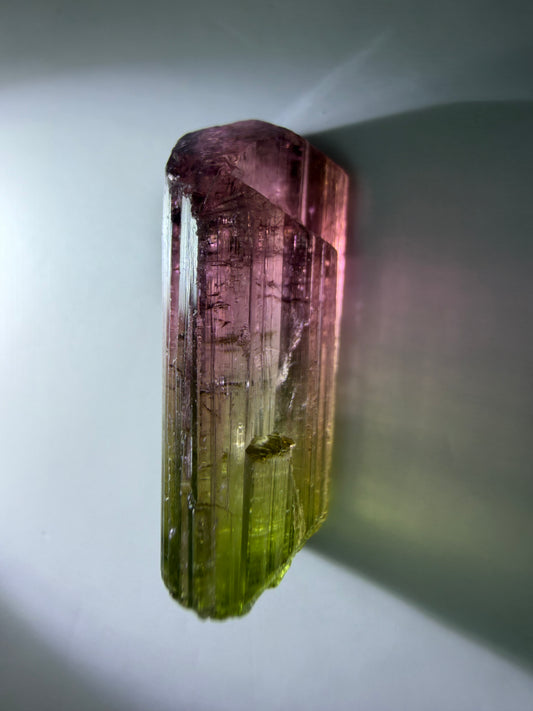 Bicolor Tourmaline Crystal | Super Saturated Red to Green | Exceptional Clarity | Paprok Mine, Nuristan, Afghanistan