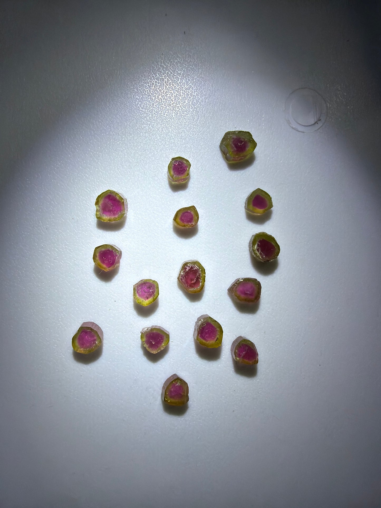 Tourmaline Slices | 2026 Productions | Paprok Mine, Nuristan, Afghanistan