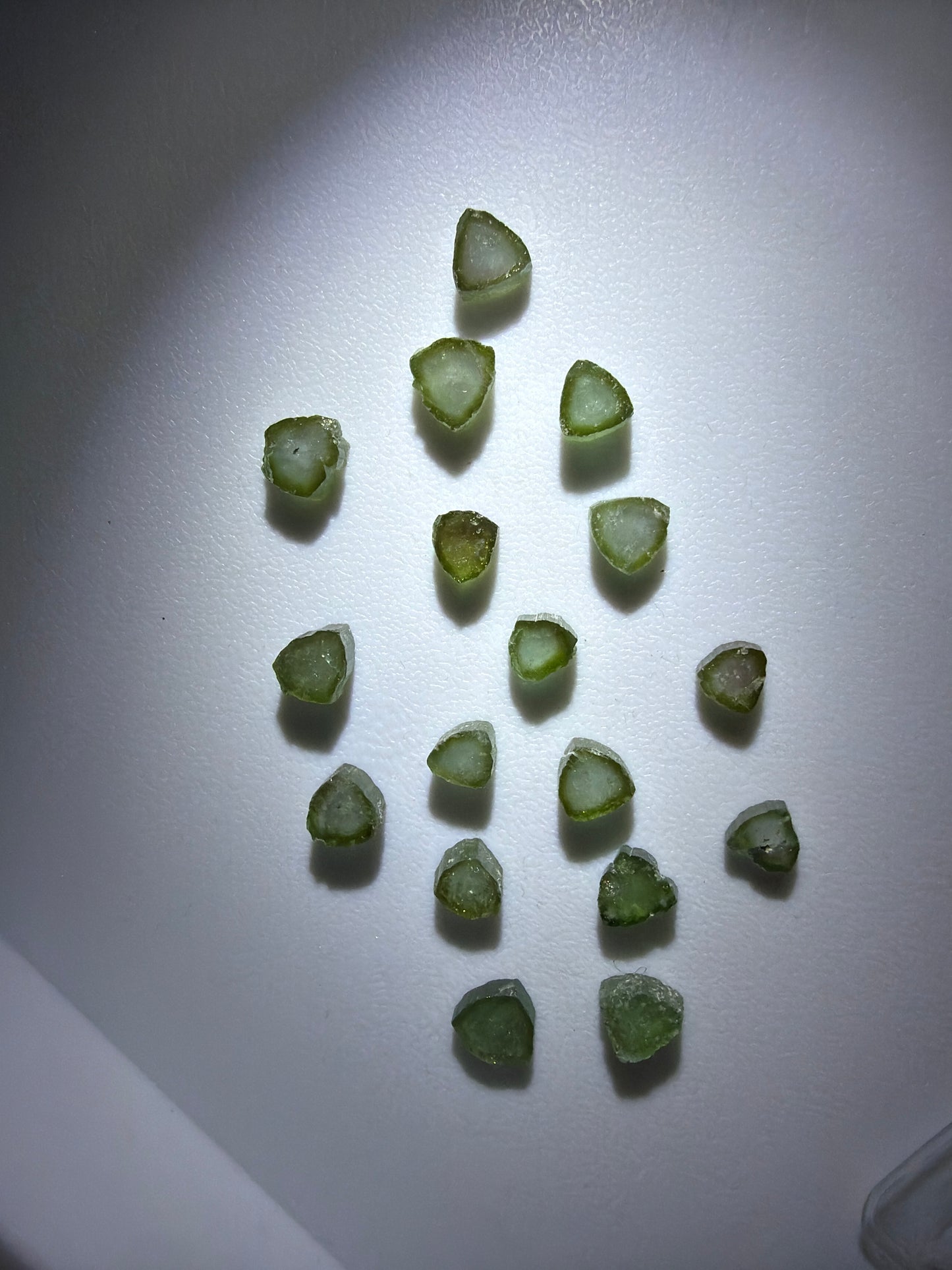 Tourmaline Slices | 2026 Productions | Paprok Mine, Nuristan, Afghanistan