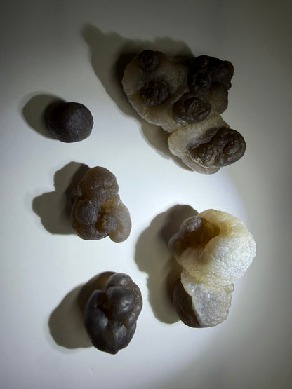 Panda Agate | Morocco