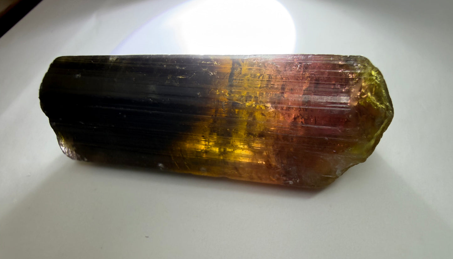 Liddicoatite Tourmaline Crystal | Brown to Orange, Yellow, Pink & Red | Malysha Mine, Tajikistan