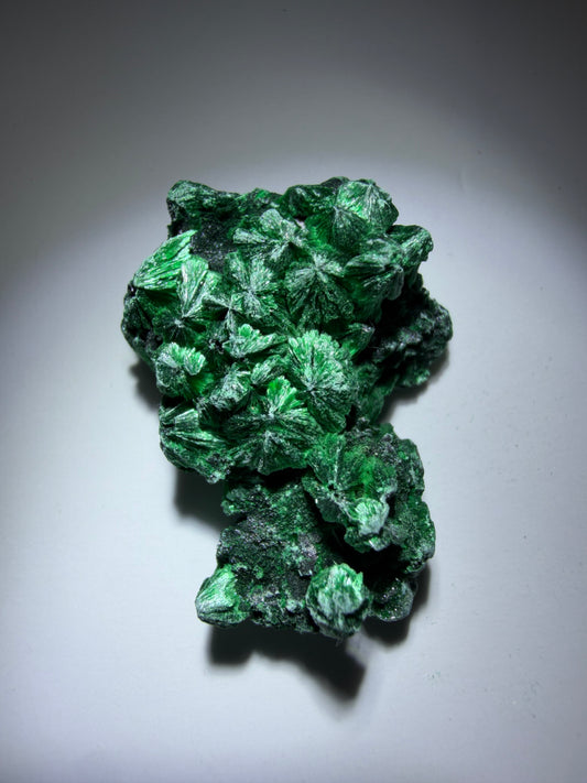 Velvety Malachite Primary | Yindu, China