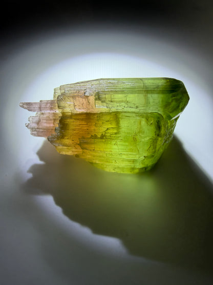 Sceptered Tourmaline Crystal | Green & Pink | Barra do Salinas, Minas Gerais, Brazil