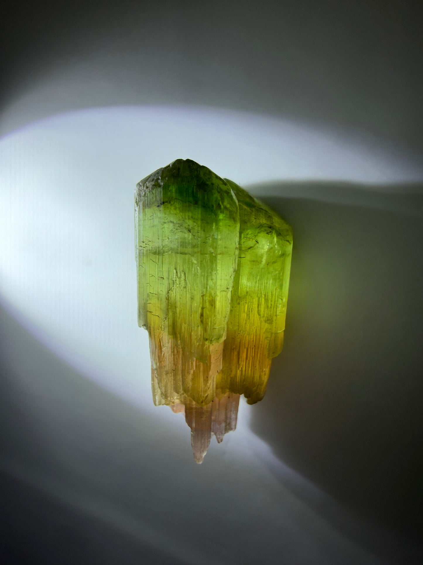 Sceptered Tourmaline Crystal | Green & Pink | Barra do Salinas, Minas Gerais, Brazil