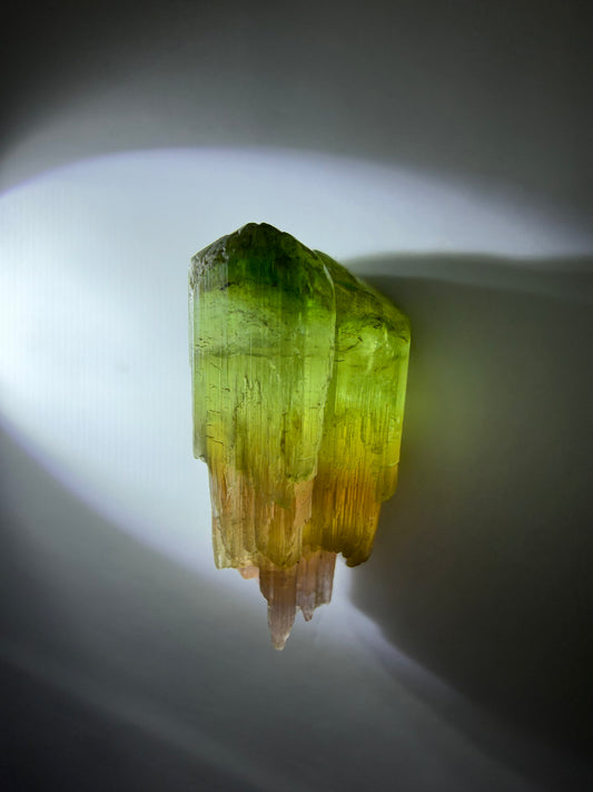 Sceptered Tourmaline Crystal | Green & Pink | Barra do Salinas, Minas Gerais, Brazil