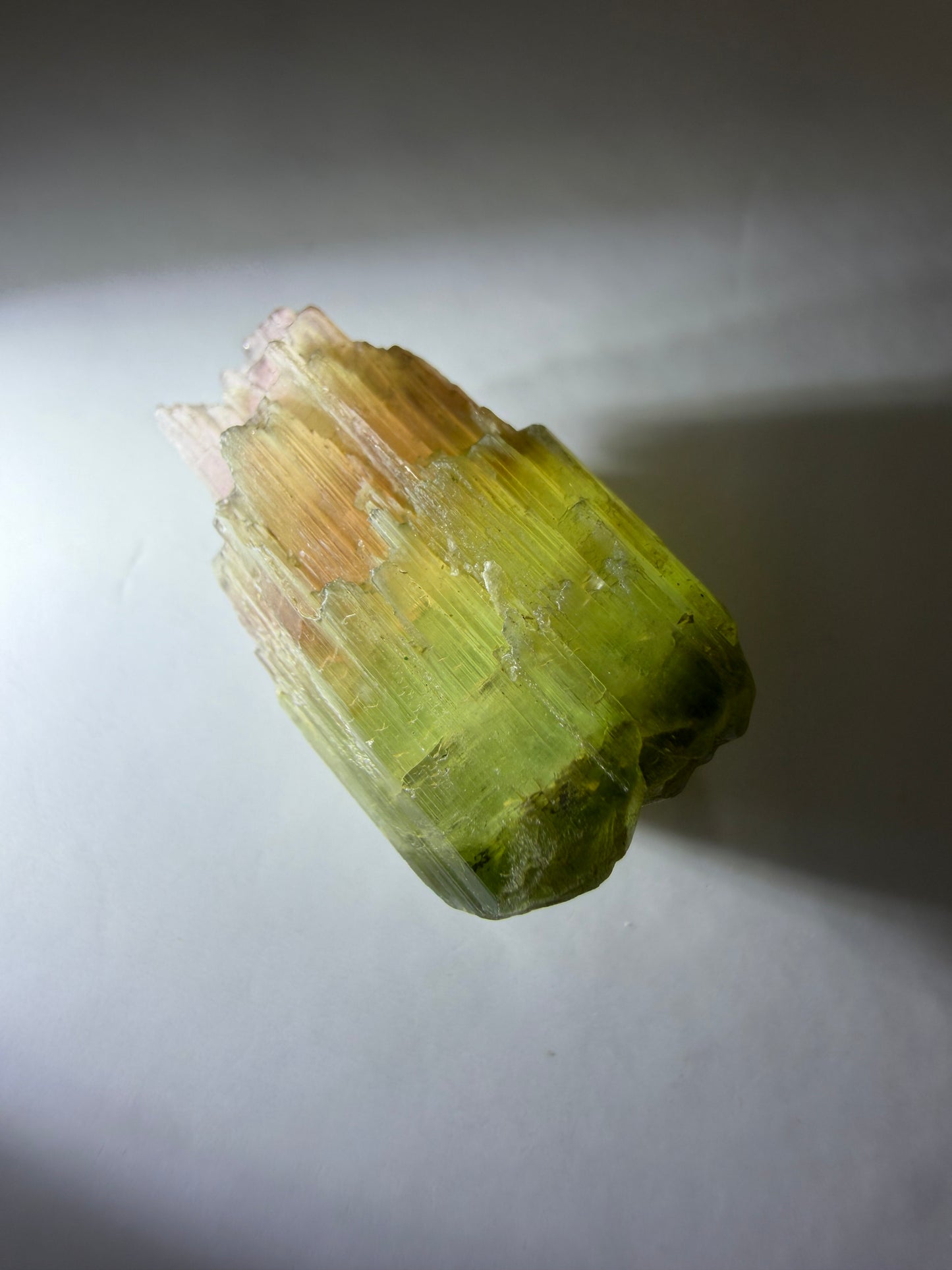 Sceptered Tourmaline Crystal | Green & Pink | Barra do Salinas, Minas Gerais, Brazil