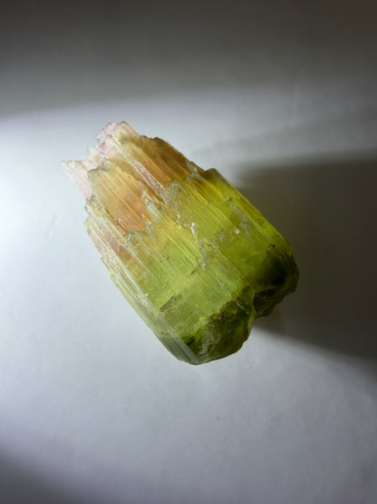 Sceptered Tourmaline Crystal | Green & Pink | Barra do Salinas, Minas Gerais, Brazil