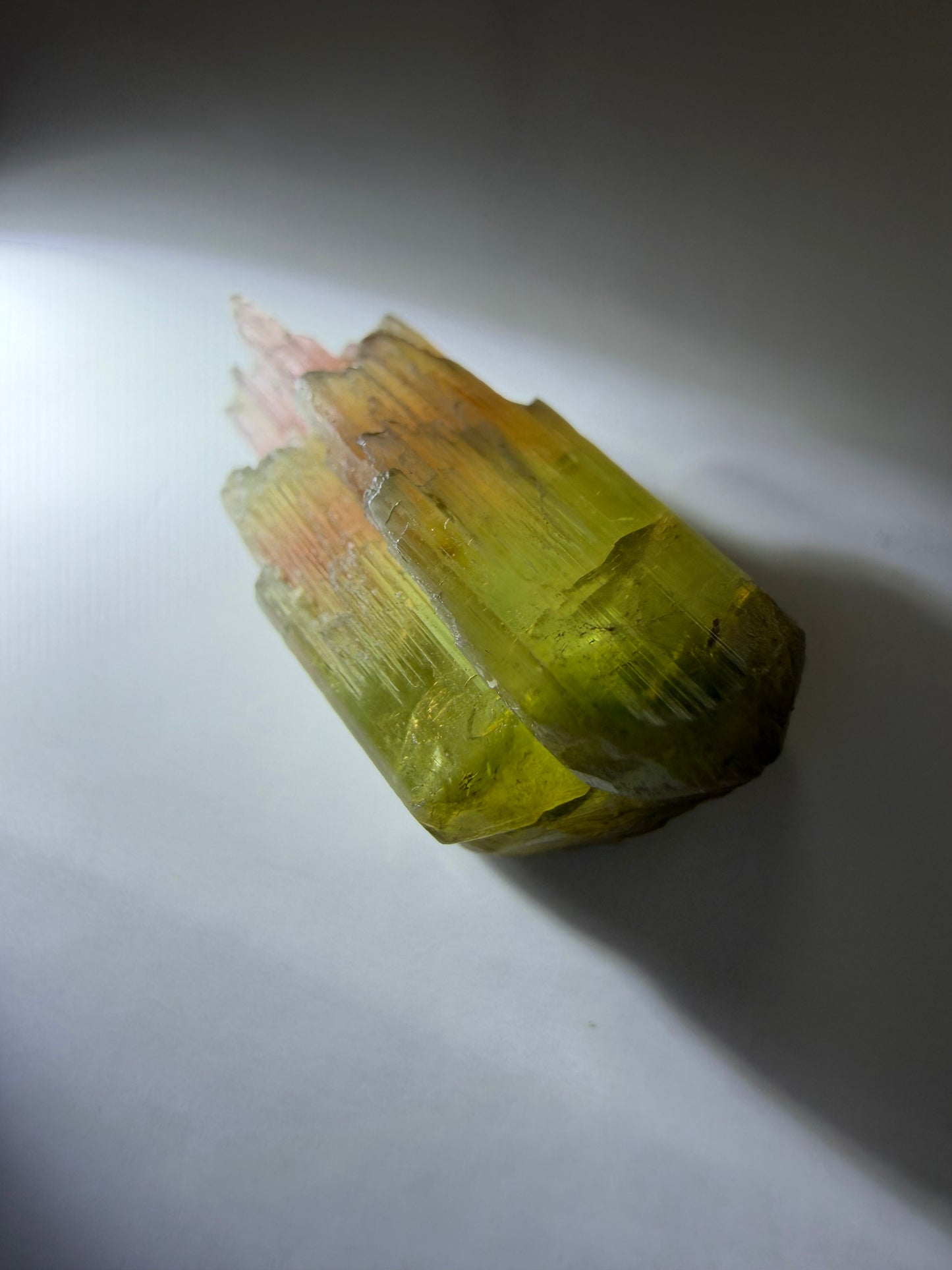 Sceptered Tourmaline Crystal | Green & Pink | Barra do Salinas, Minas Gerais, Brazil