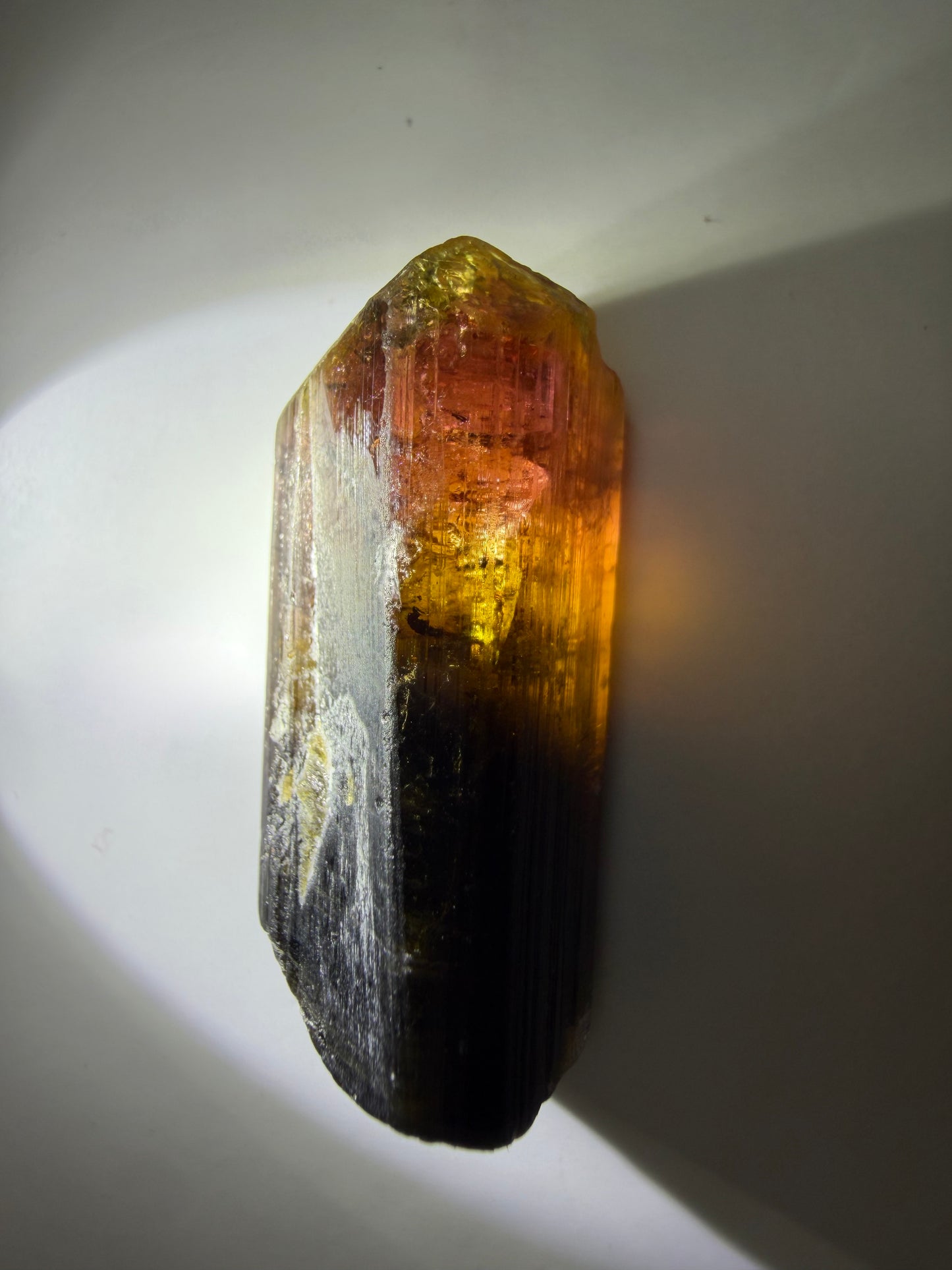 Liddicoatite Tourmaline Crystal | Brown to Orange, Yellow, Pink & Red | Malysha Mine, Tajikistan