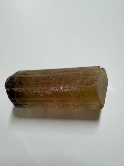 Multicolor Tourmaline Crystal | Brown, Green, Yellow & Pink | Malysha Mine, Tajikistan