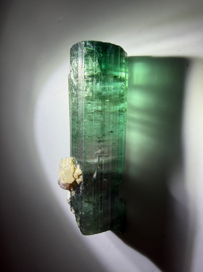 Blue-Cap Watermelon Tourmaline on Quartz | Teal, Pink & Blue | Aricanga Mine, Minas Gerais, Brazil