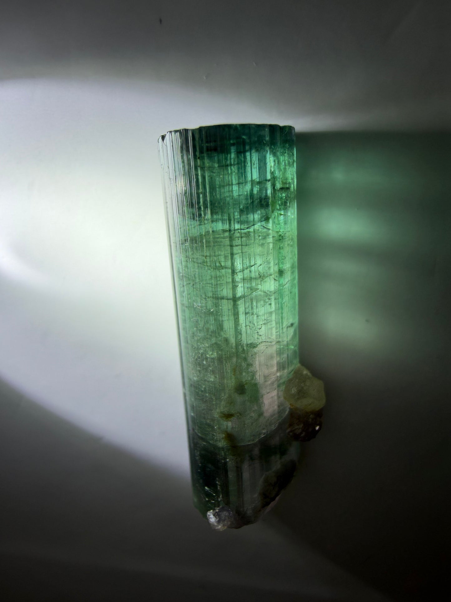 Blue-Cap Watermelon Tourmaline on Quartz | Teal, Pink & Blue | Aricanga Mine, Minas Gerais, Brazil
