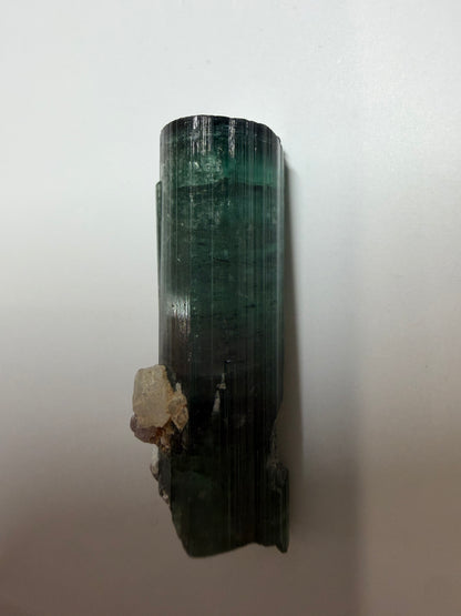 Blue-Cap Watermelon Tourmaline on Quartz | Teal, Pink & Blue | Aricanga Mine, Minas Gerais, Brazil