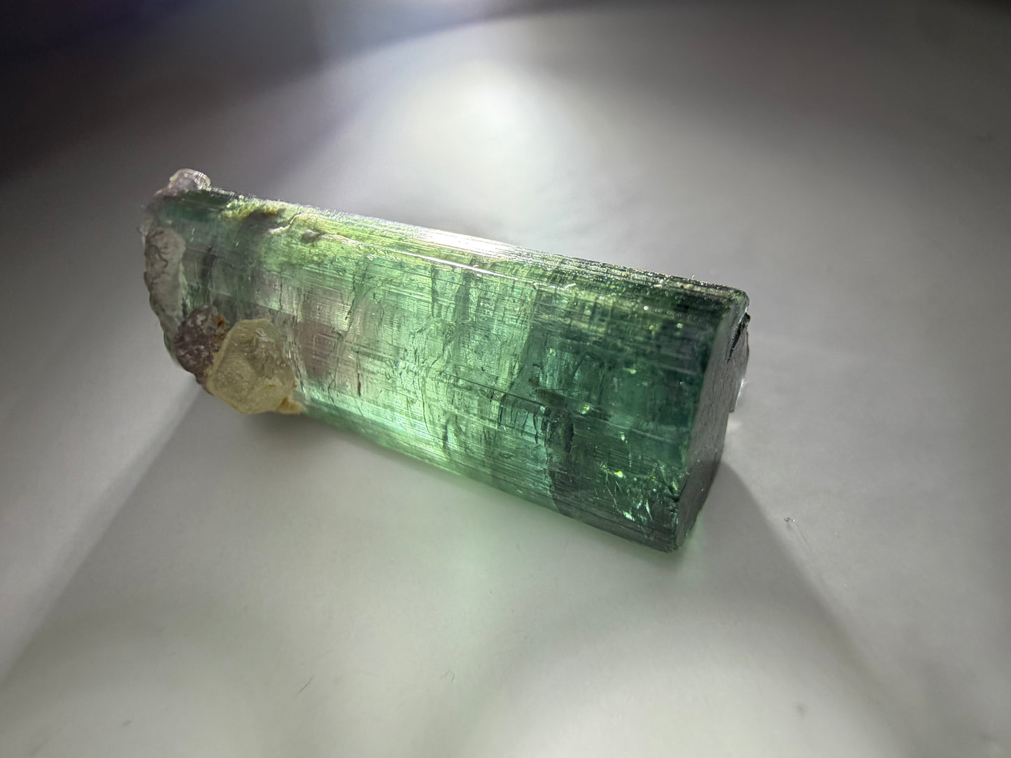Blue-Cap Watermelon Tourmaline on Quartz | Teal, Pink & Blue | Aricanga Mine, Minas Gerais, Brazil