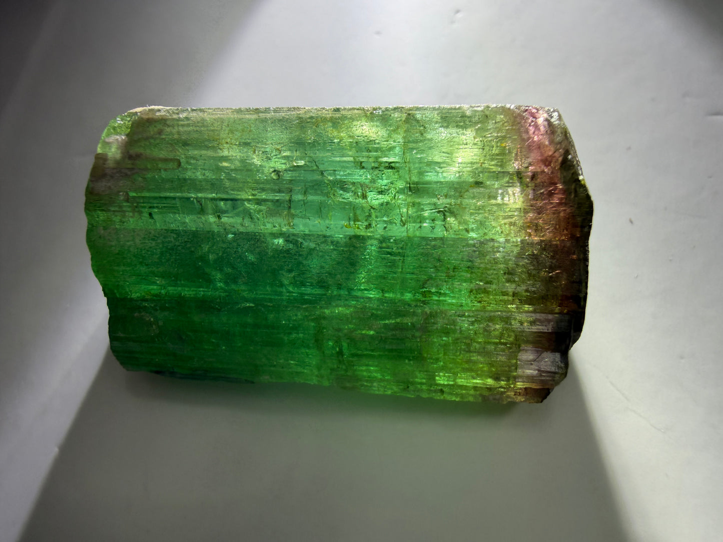 Bicolor Tourmaline Crystal | Green to Red with Iridescent Gold Termination | Private Mine, Cruzeiro Mountain, Minas Gerais, Brazil