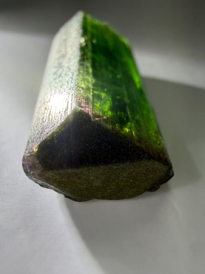 Bicolor Tourmaline Crystal | Green to Red with Iridescent Gold Termination | Private Mine, Cruzeiro Mountain, Minas Gerais, Brazil