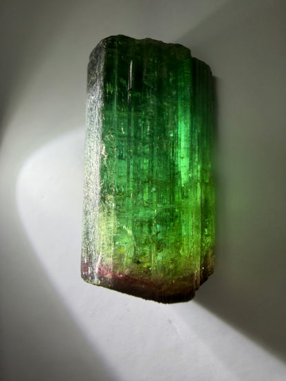 Bicolor Tourmaline Crystal | Green to Red with Iridescent Gold Termination | Private Mine, Cruzeiro Mountain, Minas Gerais, Brazil