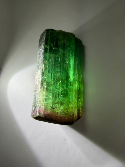 Bicolor Tourmaline Crystal | Green to Red with Iridescent Gold Termination | Private Mine, Cruzeiro Mountain, Minas Gerais, Brazil