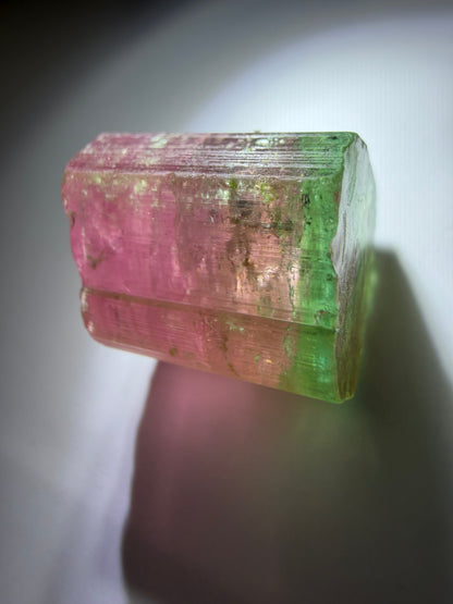 Bicolor Tourmaline Crystal | Deep Red & Electric Green | Paprok Mine, Nuristan, Afghanistan