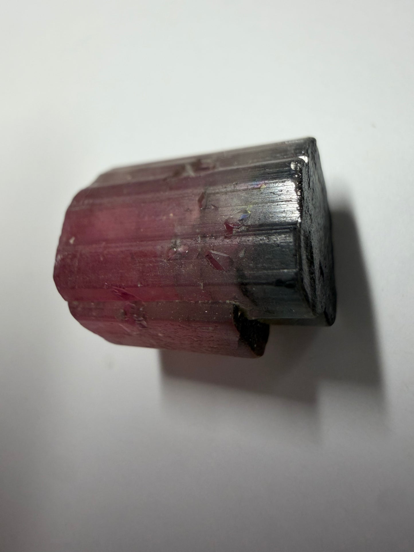 Tricolor Tourmaline Crystal | Red, White & Blue with Smoky Opaque Termination | Paprok Mine, Nuristan, Afghanistan