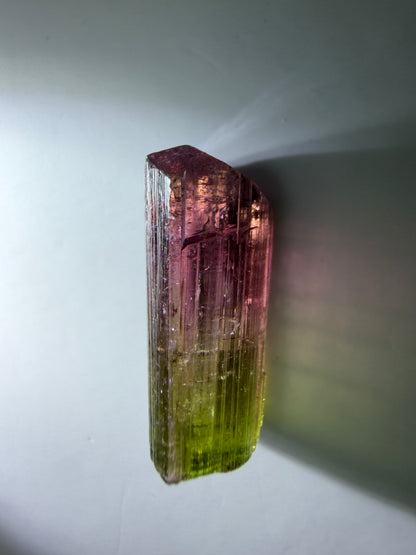 Bicolor Tourmaline Crystal | Super Saturated Red to Green | Exceptional Clarity | Paprok Mine, Nuristan, Afghanistan
