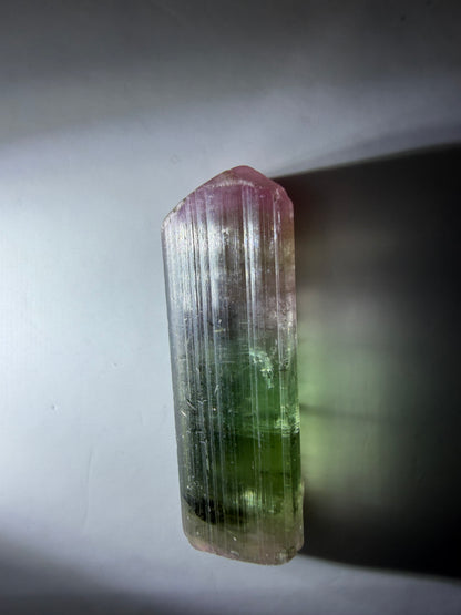 Tricolor Tourmaline Crystal | Green, Achroite & Pink with Achroite Zone | Paprok Mine, Nuristan, Afghanistan