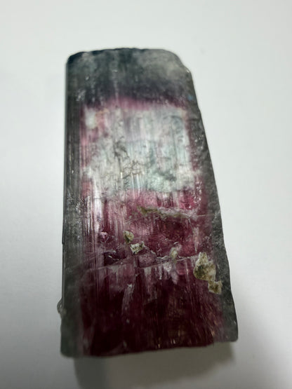 Multicolor Tourmaline Crystal | Rubellite, Purple, Achroite & Blue Cap with Cat's Eye | Paprok Mine, Nuristan, Afghanistan